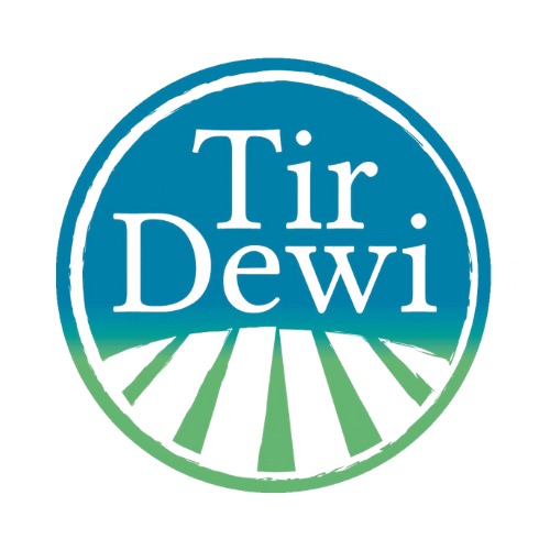 logo transparent 1
