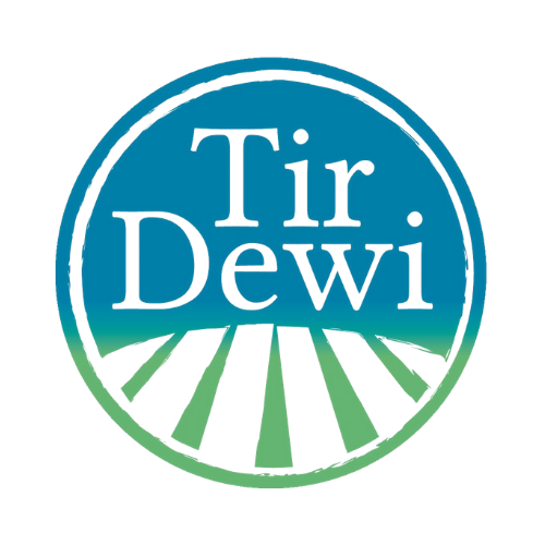 logo transparent 1