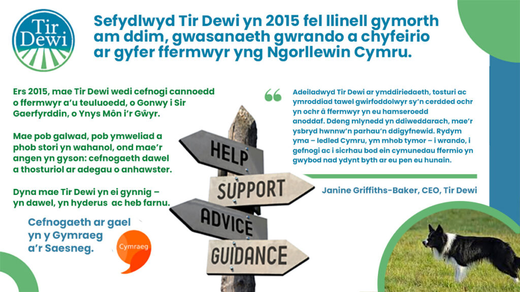 homepage image creation welsh